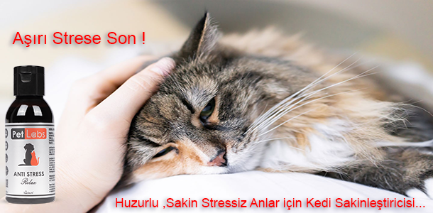 stressbanner1